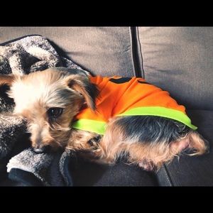 Meet your Posher, Dila